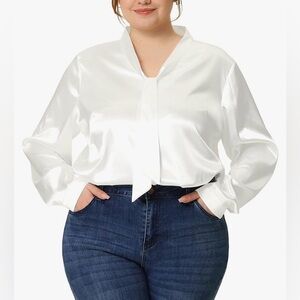 Agnes Orinda Plus Size Work Office Tie Neck Satin Top Blouses，Size 2X